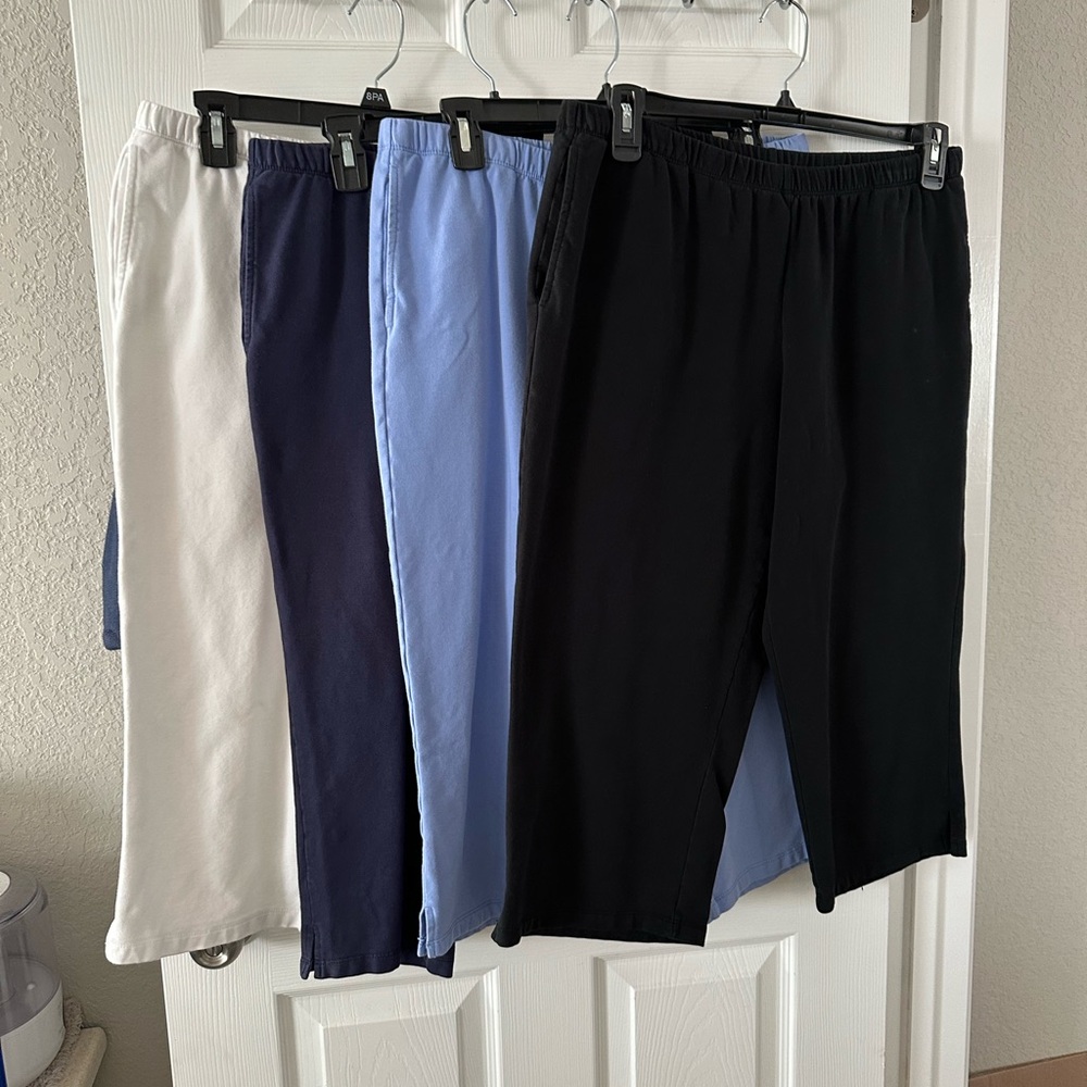 Ruby Rd. Capris Large